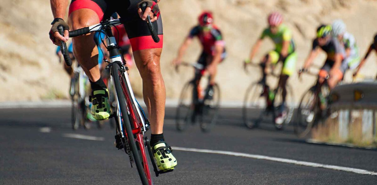 ecocardio collecchio parma